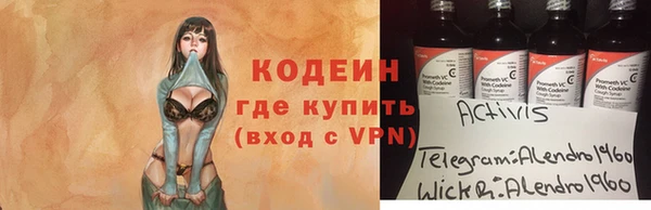 индика Бугульма