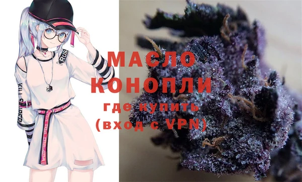 индика Бугульма