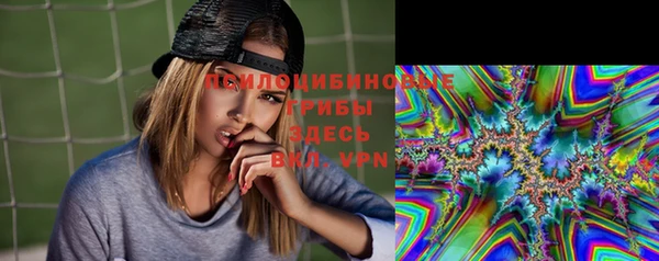 гашиш Бородино