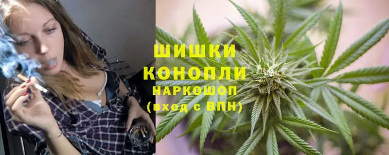 Канабис SATIVA & INDICA  купить закладку  Венёв 